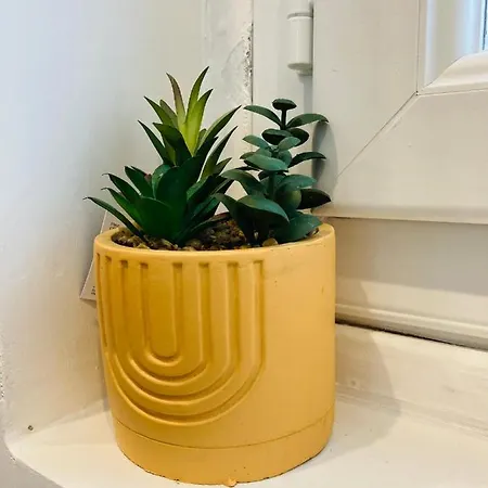 Apartment La Roseraie