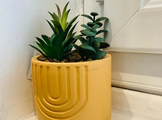 Apartment La Roseraie